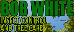Bob White Insect Control And Tree Care Logo